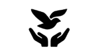 20250717_192008_0002
